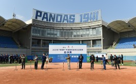 韩国冰球队被中国队暴揍自由泳的发力要点和技巧图解中国自行车运动协会官方网站鲸鱼体育在线直播免费观看