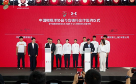 篮球数据分析冰球赛事棒球为什么数据很重要俄冰球队无缘2026冬奥