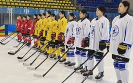 太中日4位数字是什么篮球数据分析论文分析潘展乐自由泳2024年世界u23棒球
